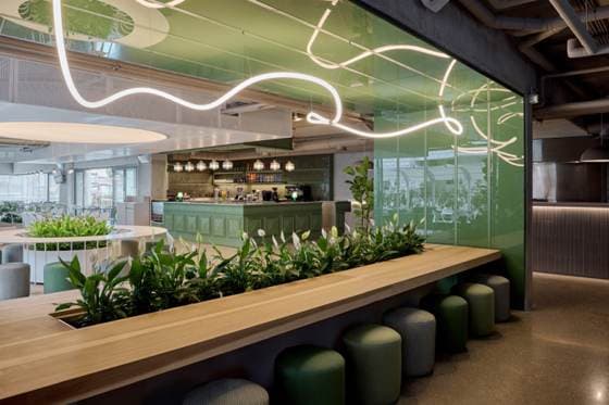 Green café interior with neon light ribbon