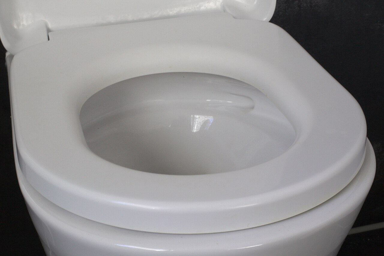The seat of a wall-hung toilet