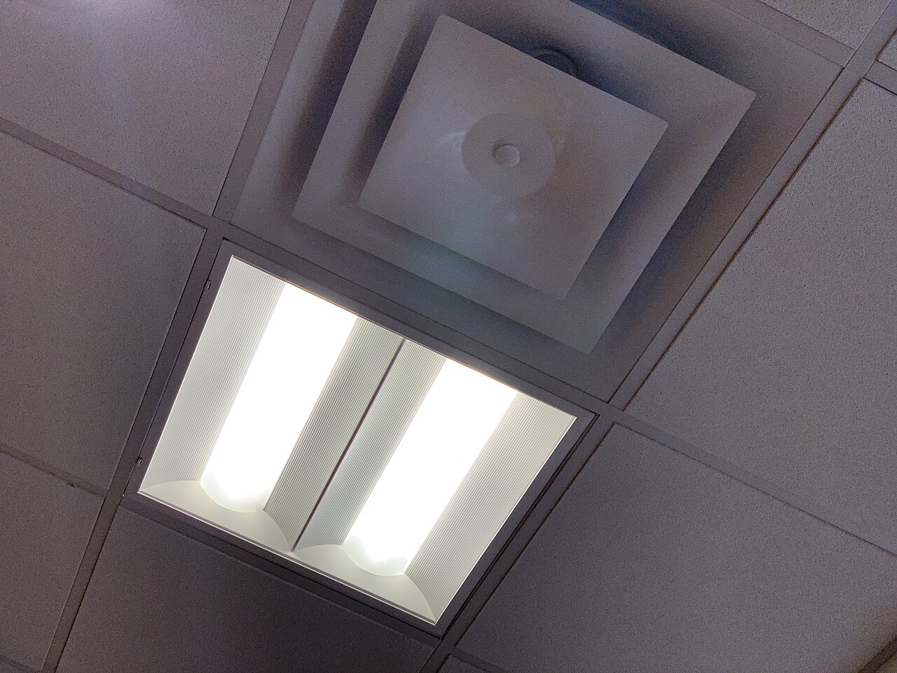 An office suspended ceiling with air vents and light fittings set into the grid