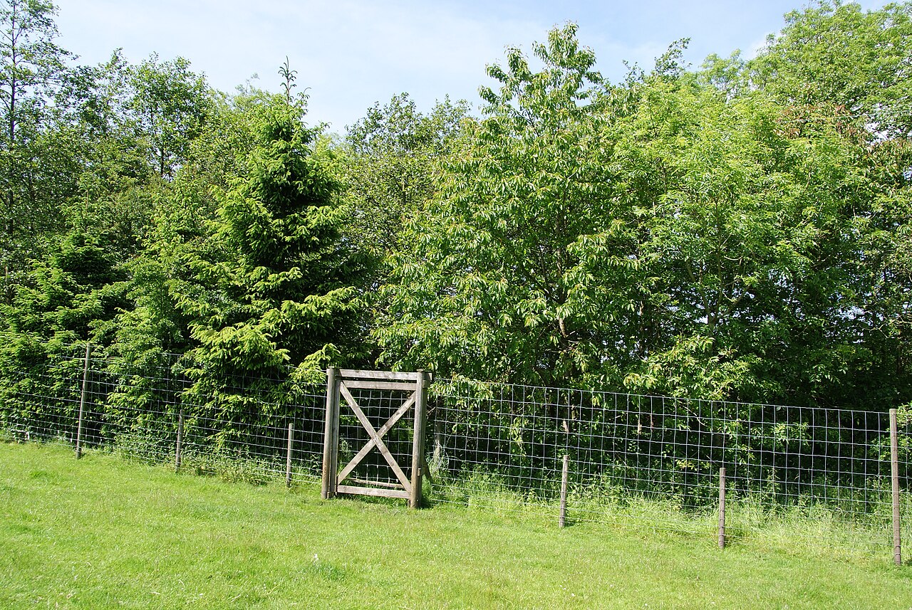 A manual sliding gate across a rural track