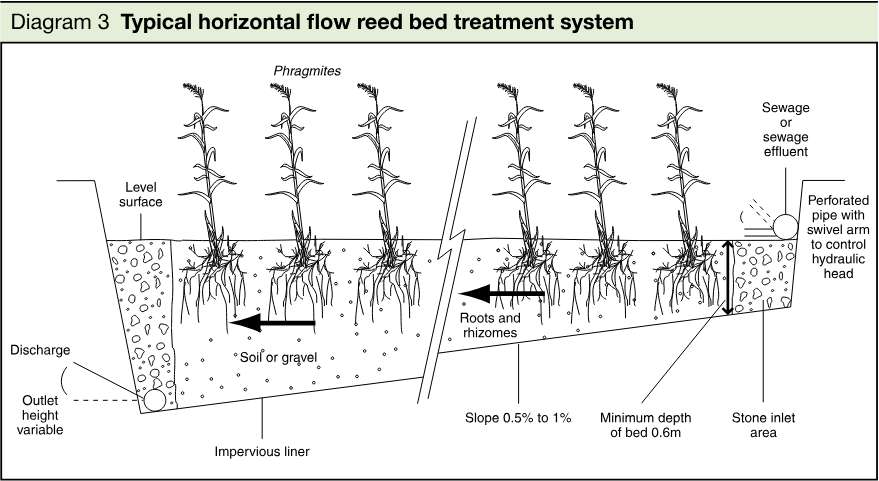 Cross-sectional schematic of a horizontal flow reed bed treatment system showing reeds, soil or gravel, roots and rhizomes, perforated inlet and outlet pipes, an impervious liner, slope, and discharge.