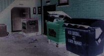 Figure 20: Bins under a stairway (courtesy of