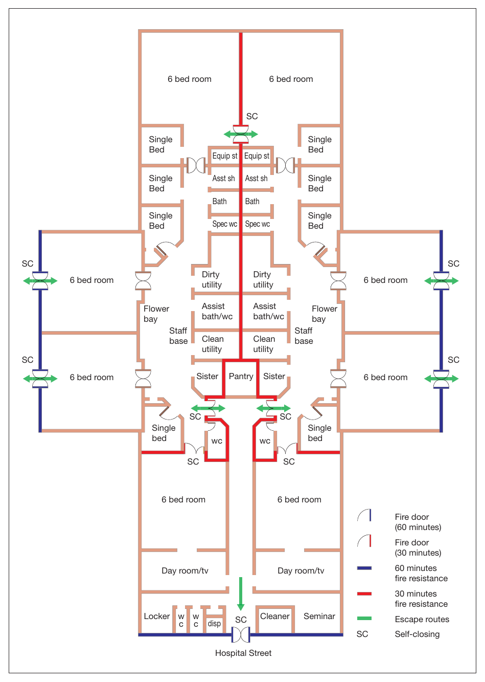 Figure 50: Typical Nucleus template layout