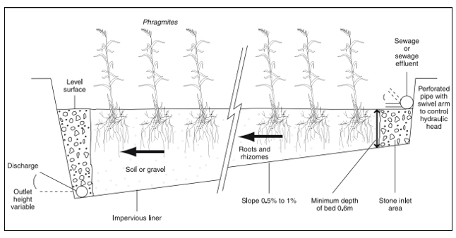 Diagram 3 Typical horizontal flow reed bed treatment system