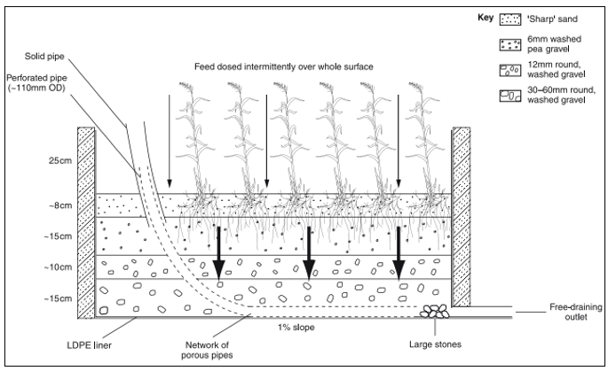 Diagram 4 Typical vertical flow reed bed treatment system