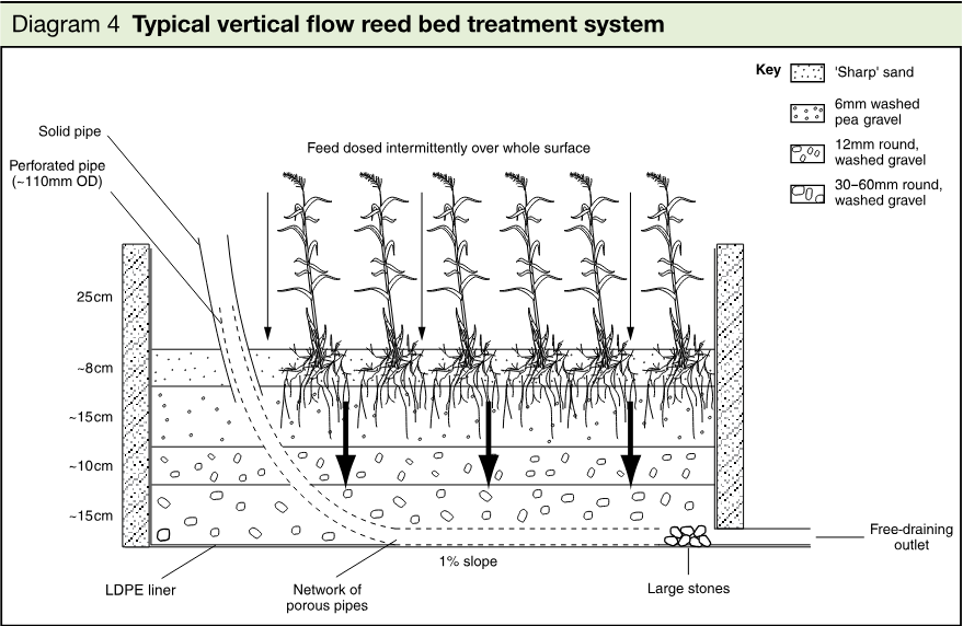 Cross-sectional schematic of a vertical flow reed bed treatment system showing planted reeds, intermittently dosed feed, perforated and solid pipes, layered gravel and sand, porous pipes, liner, slope, large stones, and a free-draining outlet.