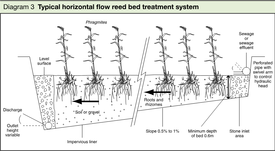 Cross-sectional schematic of a horizontal flow reed bed treatment system showing reeds, soil or gravel, roots and rhizomes, inlet and outlet pipes, slope, liner, and drainage flow.